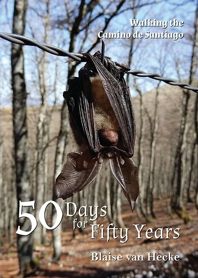 50 Days For Fifty Years: Walking The Camino De Santiago