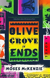 An Olive Grove Ends: A Novel