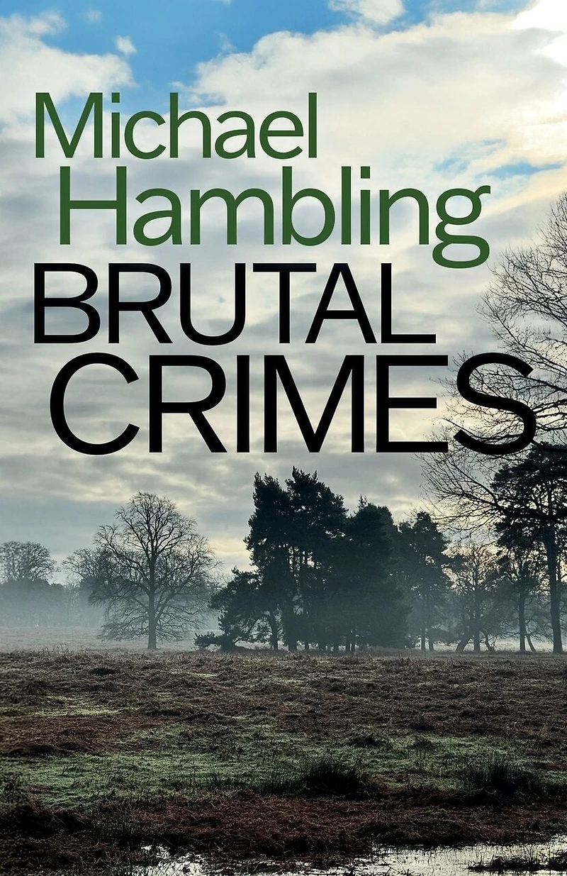 Brutal Crimes: a British crime mystery full of twists