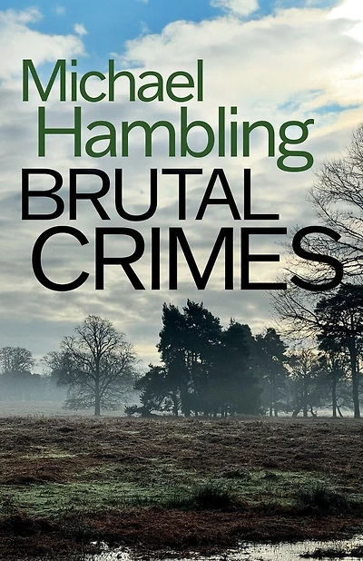 Brutal Crimes: a British crime mystery full of twists