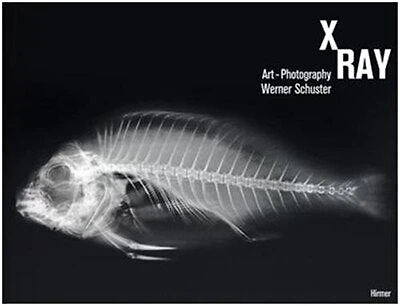 X-ray: Art-photography