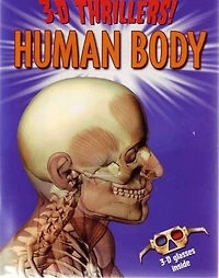 3d Human Body