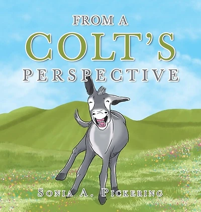 From a Colt's Perspective