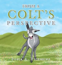 From a Colt's Perspective