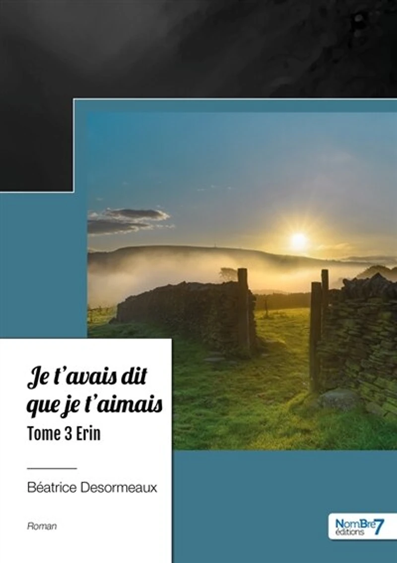 je t'avais dit que t'aimais: Tome 3