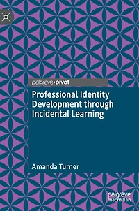 Professional Identity Development through Incidental Learning