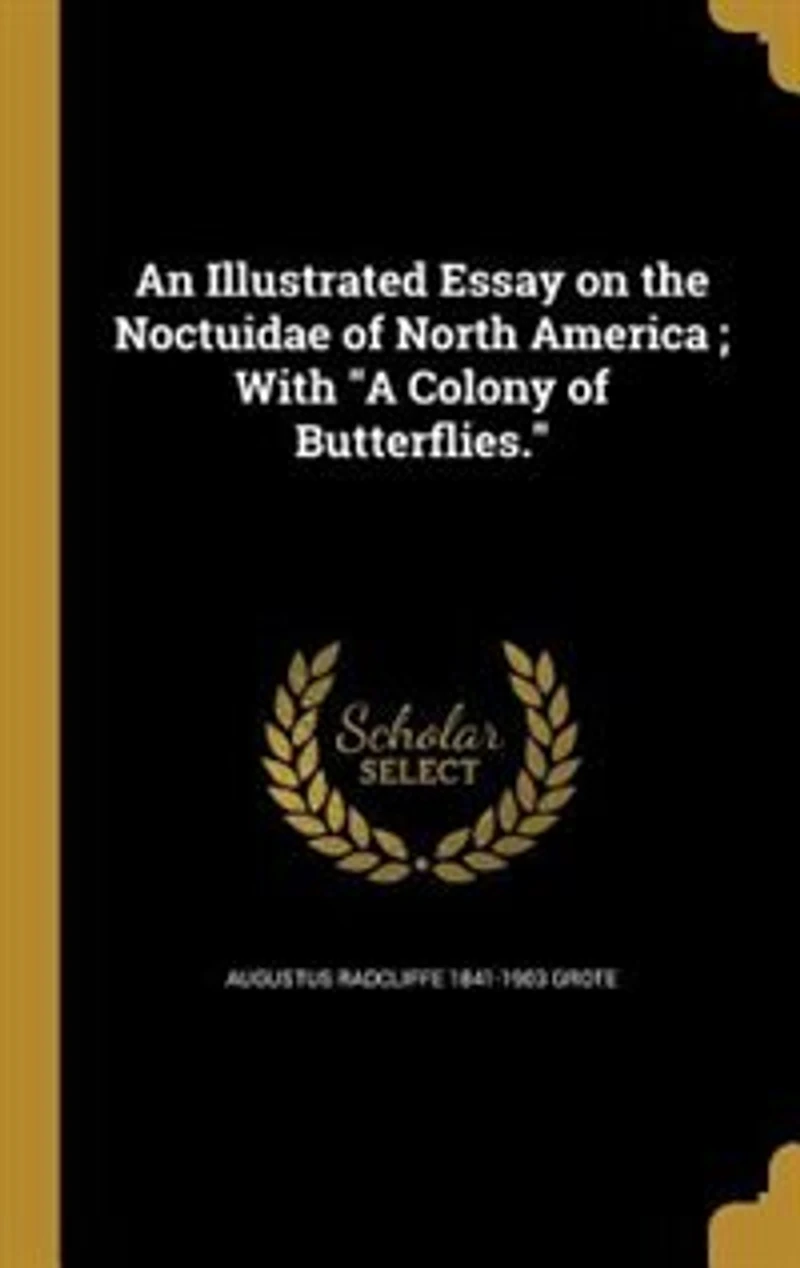 An Illustrated Essay on the Noctuidæ of North America; With 'A Colony Butterflies'
