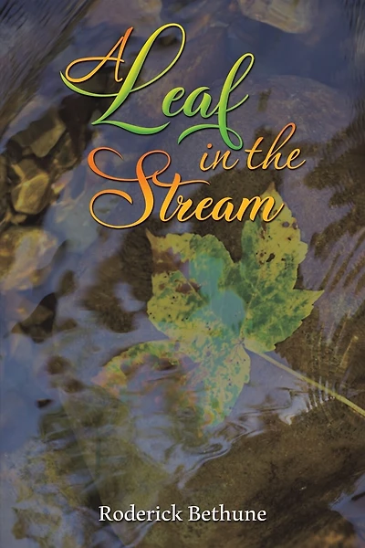 A Leaf in the Stream