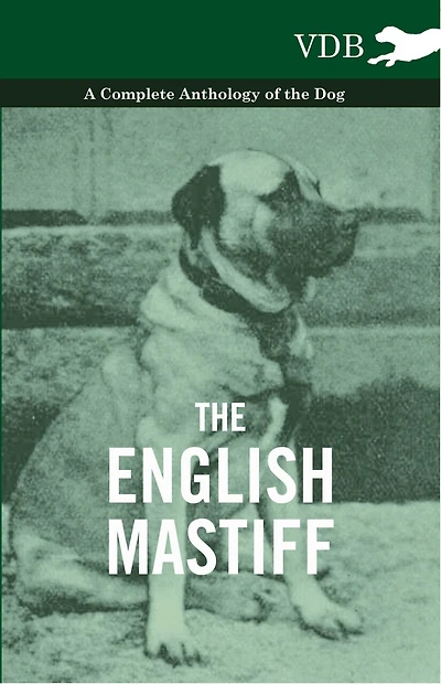 the English Mastiff - A Complete Anthology of Dog