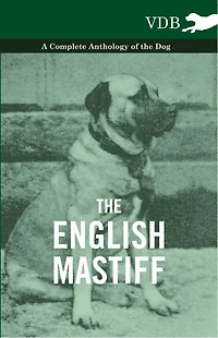 the English Mastiff - A Complete Anthology of Dog