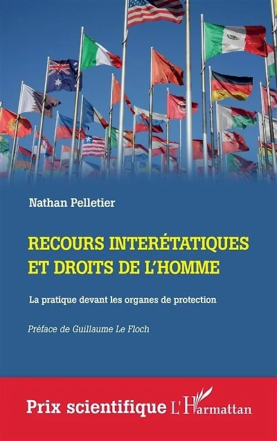 Recours interétatiques et droits de l'homme: La pratique devant les organes de protection