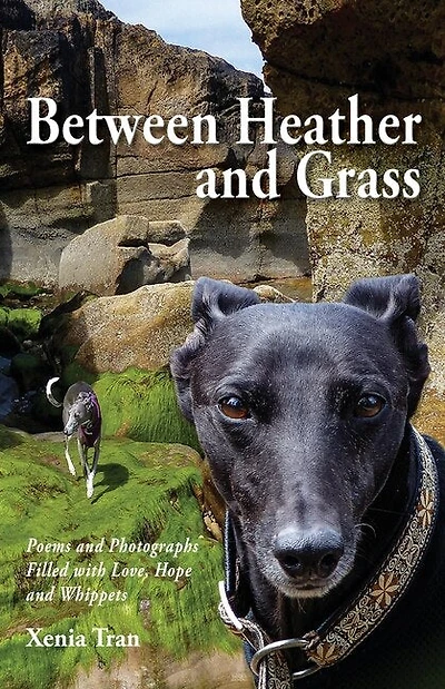 Between Heather And Grass: Poems And Photographs Filled With Love, Hope And Whippets