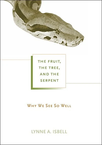 Fruit, the Tree, and Serpent: Why We See So Well