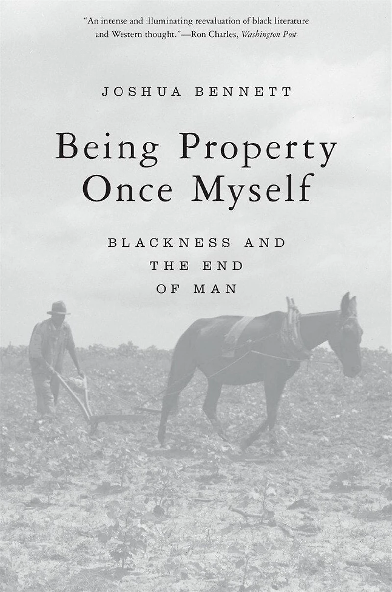 Being Property Once Myself: Blackness And The End Of Man