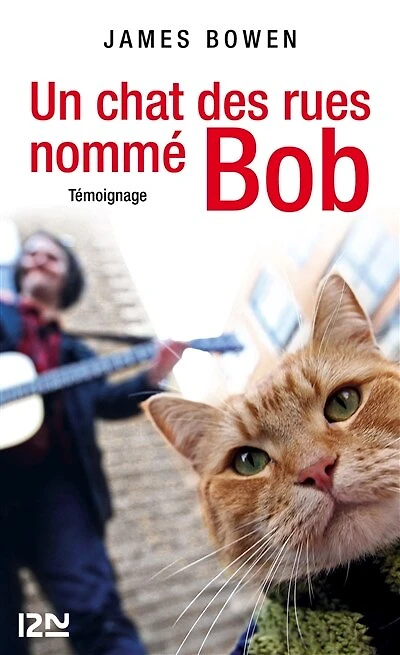Un chat des rues nommé Bob: témoignage
