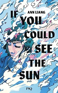If you could see the sun