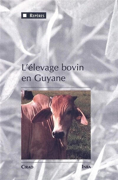 L'élevage bovin en Guyane: Une innovation majeure dans un milieu équatorial de plaine, 1975-1990