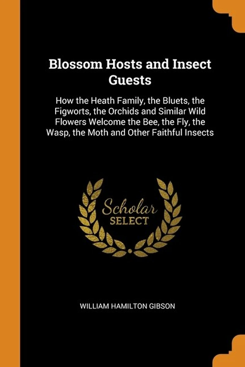 Blossom Hosts and Insect Guests: How the Heath Family, Bluets, Figworts, Orchids Similar Wild Flowers Welcome Be