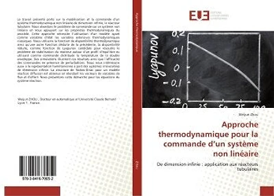 Approche thermodynamique pour la commande d'un systeme non lineaire: De dimension infinie