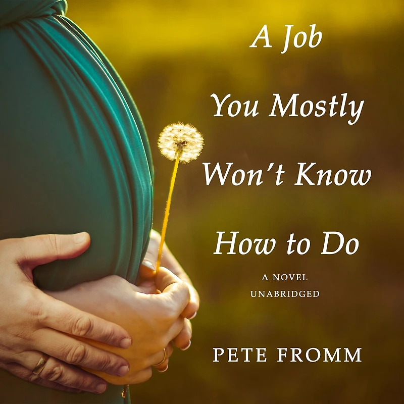 A Job You Mostly Won’t Know How to Do: Novel