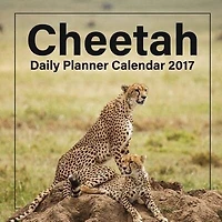 Cheetah: Daily Planner Calendar 2017