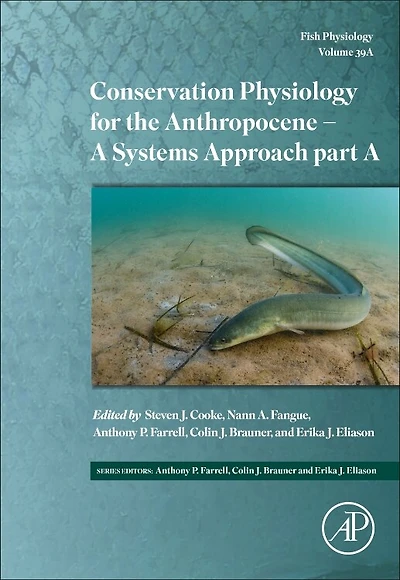 Conservation Physiology for the Anthropocene - A Systems Approach