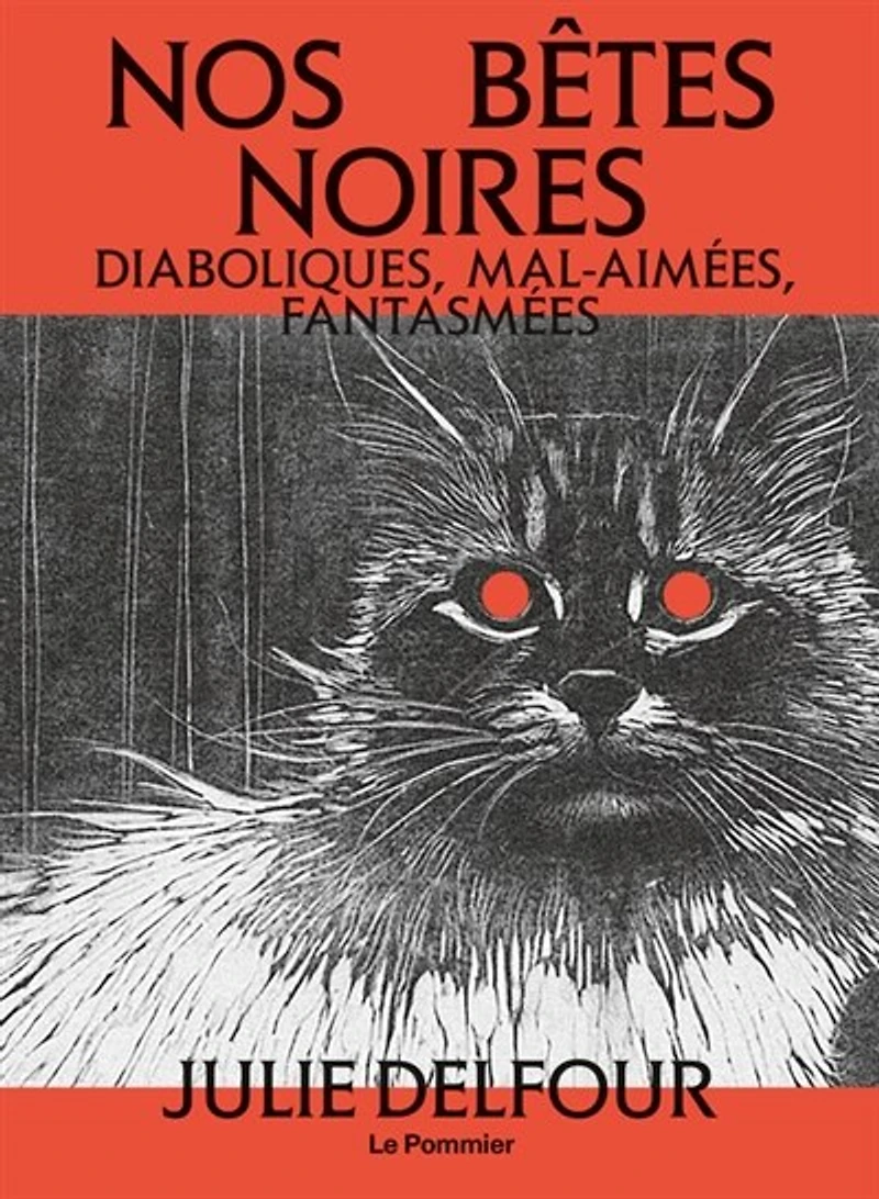 Nos bêtes noires: diaboliques, mal-aimées, fantasmées