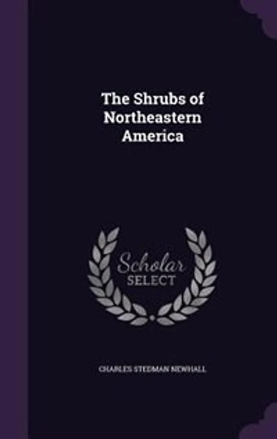 The Shrubs of Northeastern America