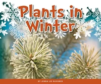 Plants in Winter
