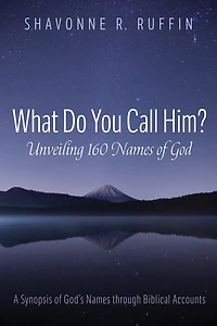 What Do You Call Him? Unveiling 160 Names of God: A Synopsis God's Through Biblical Accounts