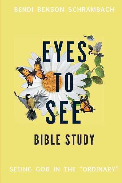 Eyes to See Bible Study: Seeing God in the "Ordinary"