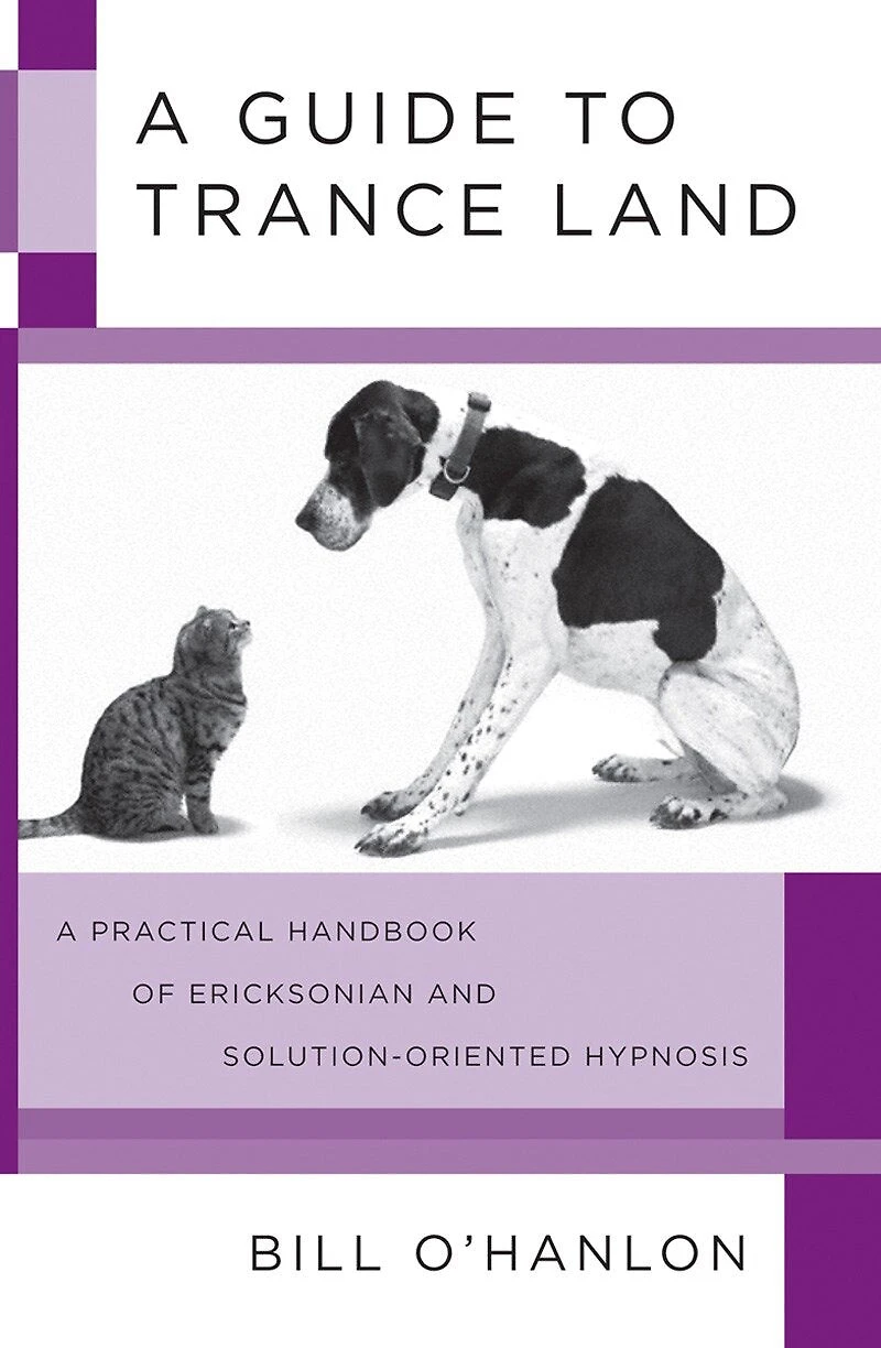 A Guide to Trance Land: Practical Handbook Of Ericksonian And Solution Oriented Hypnos