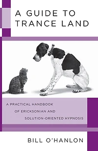 A Guide to Trance Land: Practical Handbook Of Ericksonian And Solution Oriented Hypnos