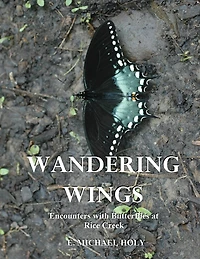 Wandering Wings: Encounters with Butterflies at Rice Creek