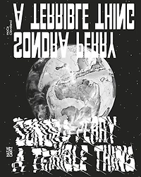 Sondra Perry: A Terrible Thing