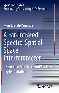 A Far-Infrared Spectro-Spatial Space Interferometer: Instrument Simulator and Testbed Implementation