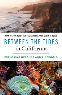 Between the Tides in California: Exploring Beaches and Tidepools