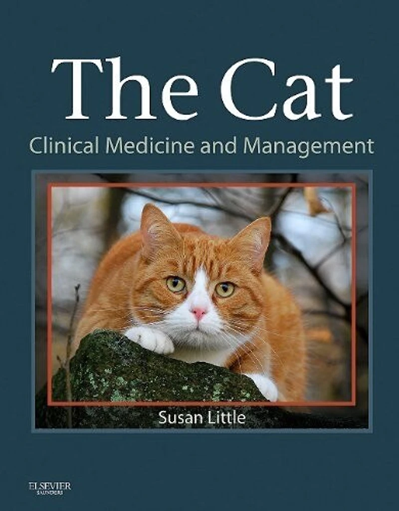 The Cat: Clinical Medicine And Management