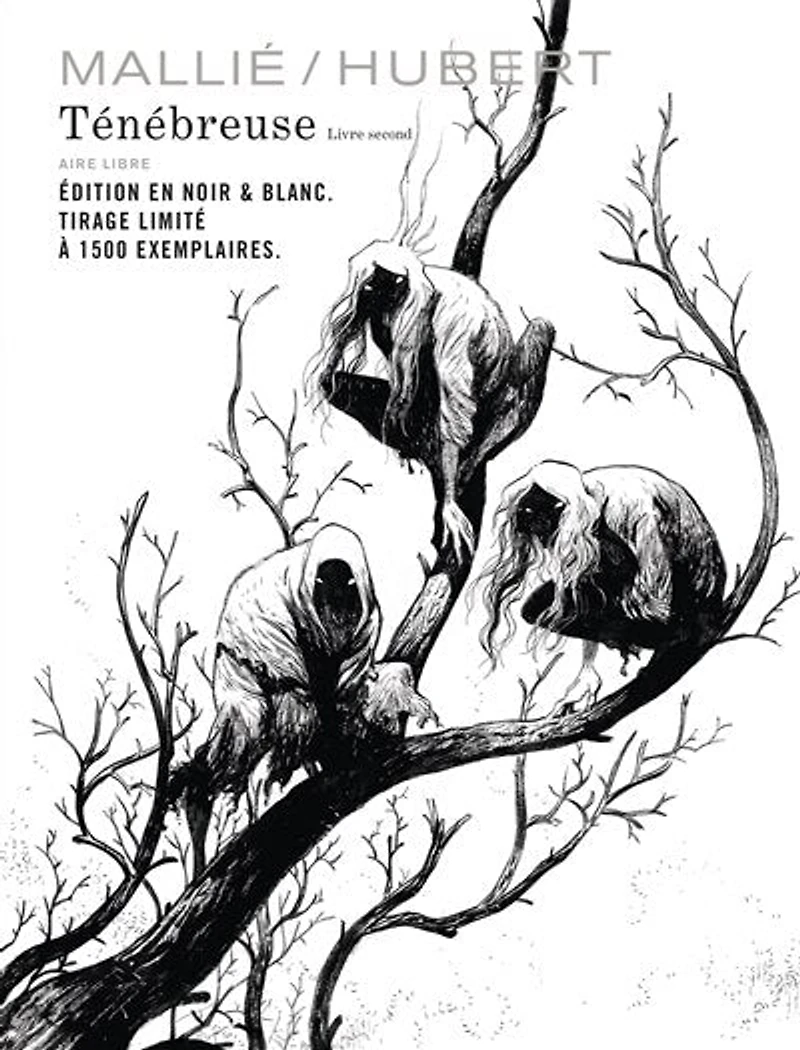 Ténébreuse, Vol. 2