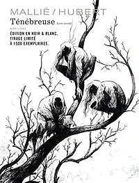 Ténébreuse, Vol. 2