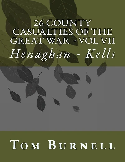 26 County Casualties of the Great War Volume VII: Henaghan - Kells