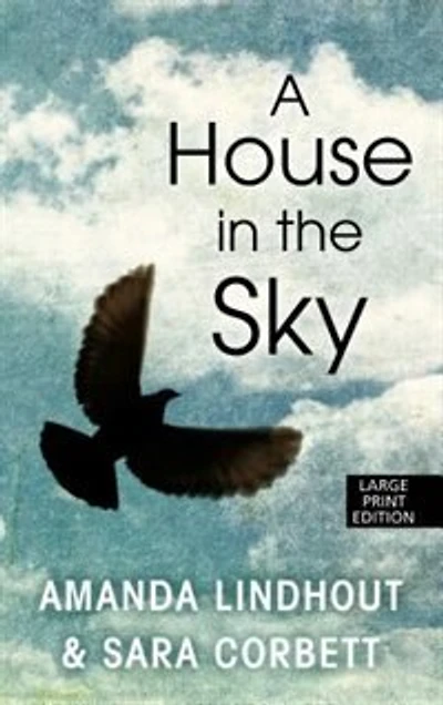 A House In The Sky: A Memoir