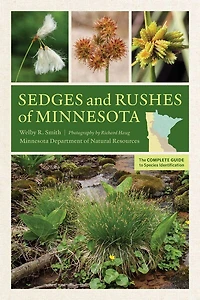 Sedges and Rushes of Minnesota: The Complete Guide to Species Identification