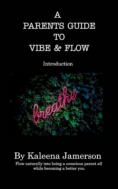 A Parent's Guide To Vibe and Flow: A parents guide to peaceful parenting
