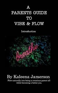 A Parent's Guide To Vibe and Flow: A parents guide to peaceful parenting