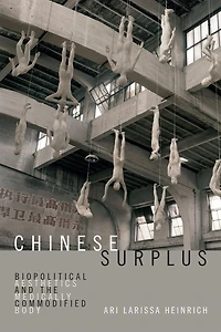 Chinese Surplus: Biopolitical Aesthetics And The Medically Commodified Body