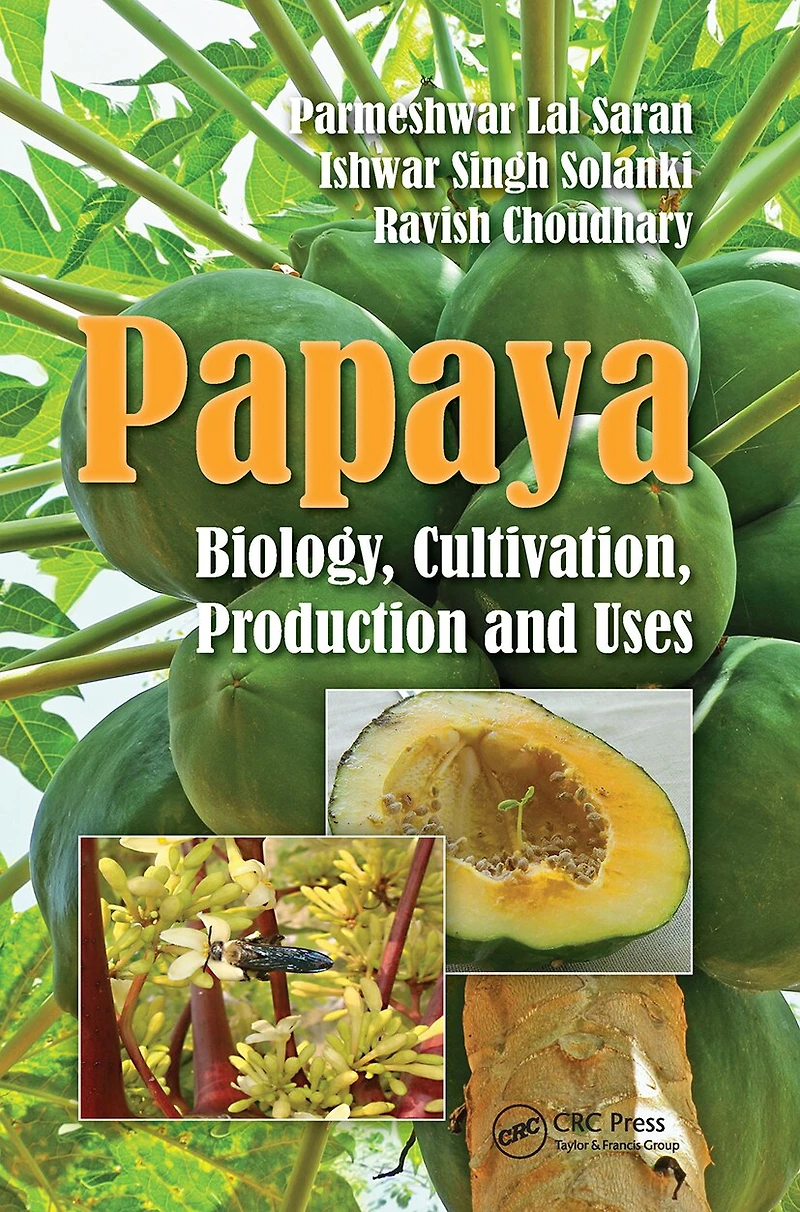 Papaya: Biology, Cultivation, Production And Uses