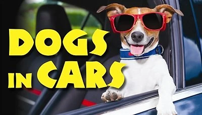 DOGS IN CARS