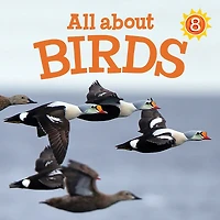 All about Birds: French Edition
