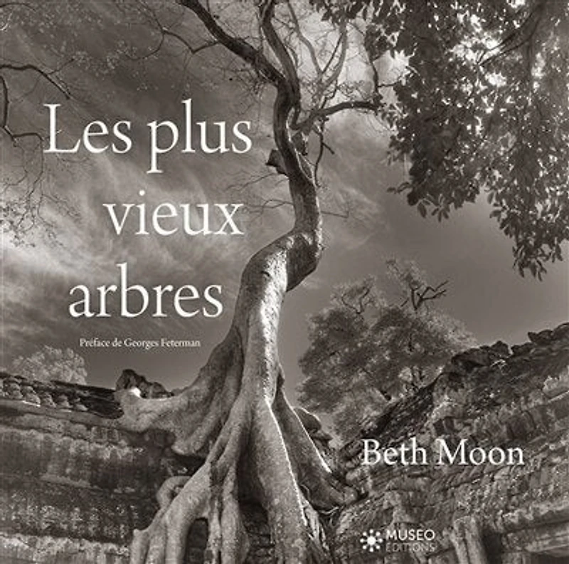 LES PLUS VIEUX ARBRES